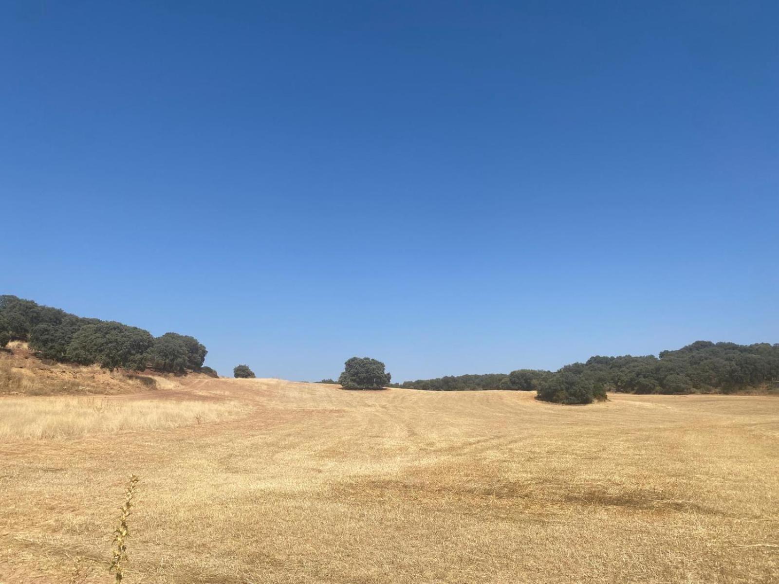Casa Rural El Contarin - An Andalusian Escape, Archidona, Malaga Zewnętrze zdjęcie