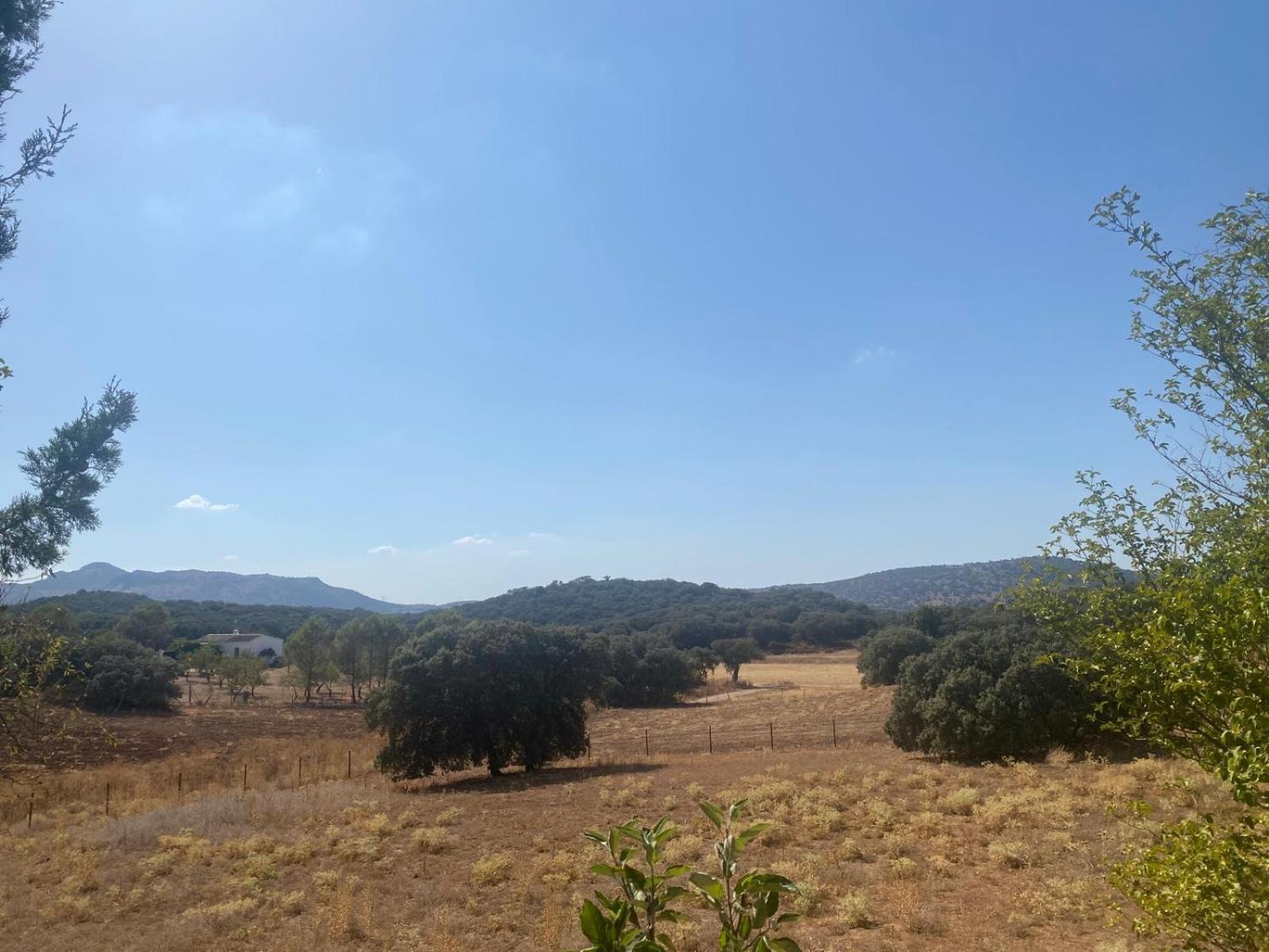 Casa Rural El Contarin - An Andalusian Escape, Archidona, Malaga Zewnętrze zdjęcie