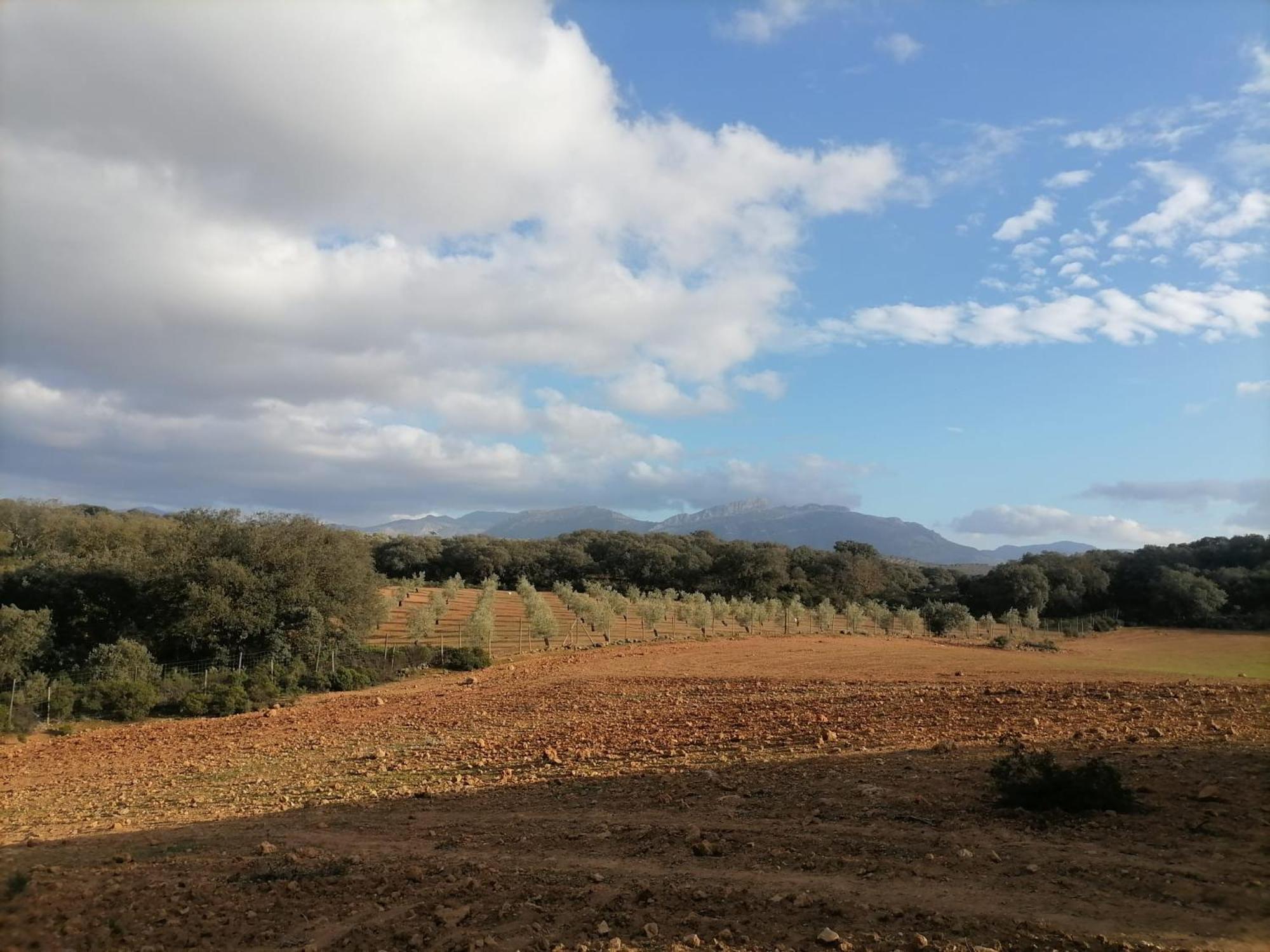Casa Rural El Contarin - An Andalusian Escape, Archidona, Malaga Zewnętrze zdjęcie